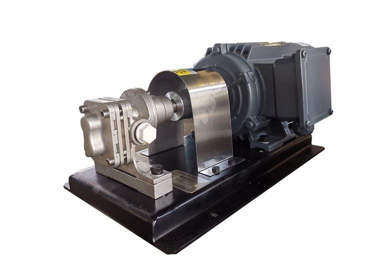 Pharmaceutical And Food Industry Stainless Steel Gear Pump