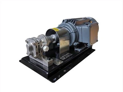 Z nehrdzavejúcej ocele 304 316 l Čerpadlo na meranie prevodových stupňov potravín